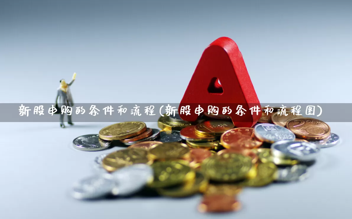 新股申购的条件和流程(新股申购的条件和流程图)_https://www.xzdzchf.com_上交所_第1张