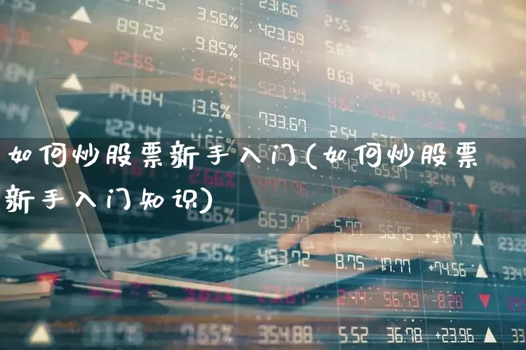 如何炒股票新手入门(如何炒股票新手入门知识)_https://www.xzdzchf.com_上交所_第1张