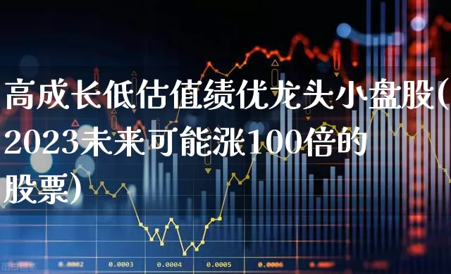 高成长低估值绩优龙头小盘股(2023未来可能涨100倍的股票)_https://www.xzdzchf.com_上交所_第1张