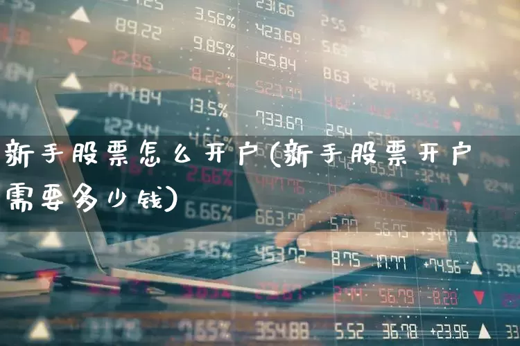 新手股票怎么开户(新手股票开户需要多少钱)_https://www.xzdzchf.com_北交所_第1张