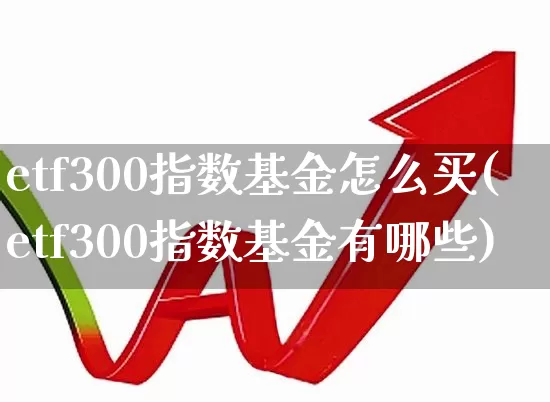 etf300指数基金怎么买(etf300指数基金有哪些)_https://www.xzdzchf.com_创业板_第1张