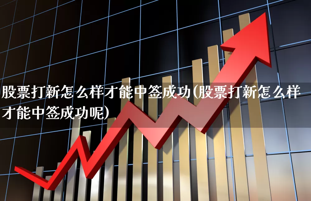 股票打新怎么样才能中签成功(股票打新怎么样才能中签成功呢)_https://www.xzdzchf.com_上交所_第1张