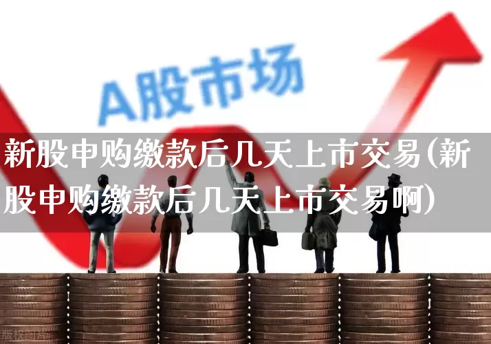 新股申购缴款后几天上市交易(新股申购缴款后几天上市交易啊)_https://www.xzdzchf.com_上交所_第1张
