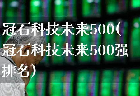 冠石科技未来500(冠石科技未来500强排名)_https://www.xzdzchf.com_深交所_第1张