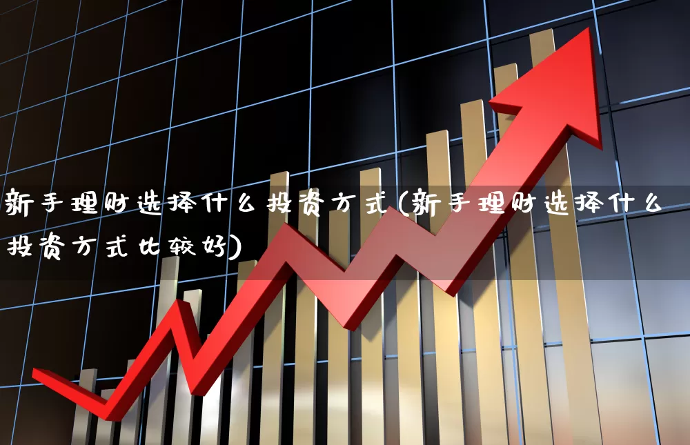 新手理财选择什么投资方式(新手理财选择什么投资方式比较好)_https://www.xzdzchf.com_创业板_第1张