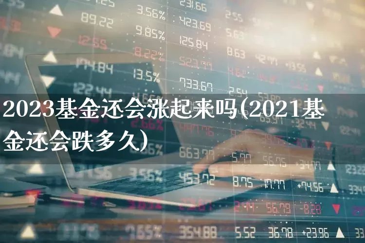 2023基金还会涨起来吗(2021基金还会跌多久)_https://www.xzdzchf.com_创业板_第1张