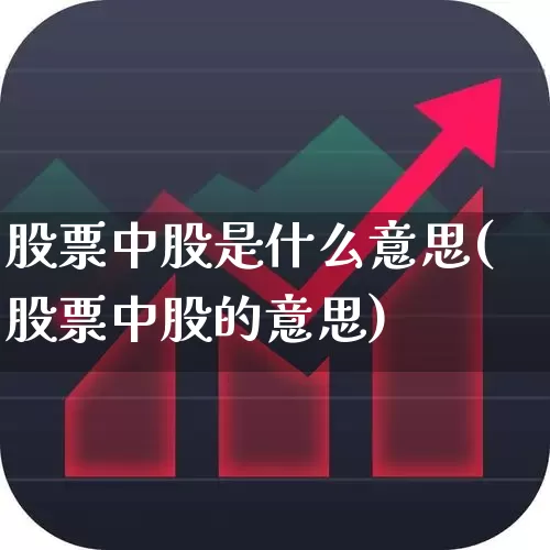 股票中股是什么意思(股票中股的意思)_https://www.xzdzchf.com_创业板_第1张