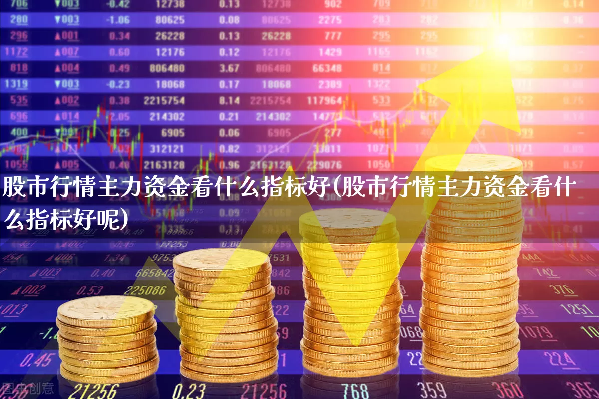 股市行情主力资金看什么指标好(股市行情主力资金看什么指标好呢)_https://www.xzdzchf.com_科创板_第1张