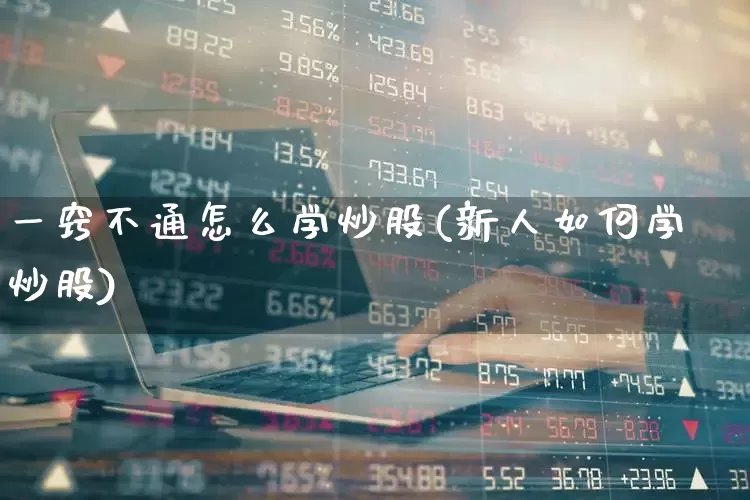 一窍不通怎么学炒股(新人如何学炒股)_https://www.xzdzchf.com_创业板_第1张
