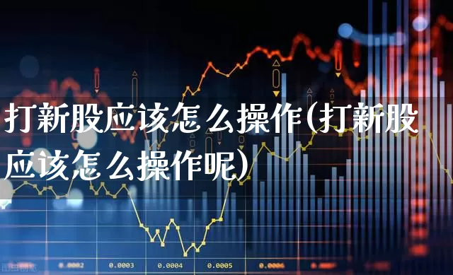 打新股应该怎么操作(打新股应该怎么操作呢)_https://www.xzdzchf.com_北交所_第1张