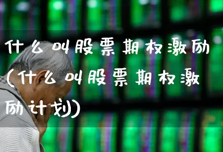 什么叫股票期权激励(什么叫股票期权激励计划)_https://www.xzdzchf.com_创业板_第1张