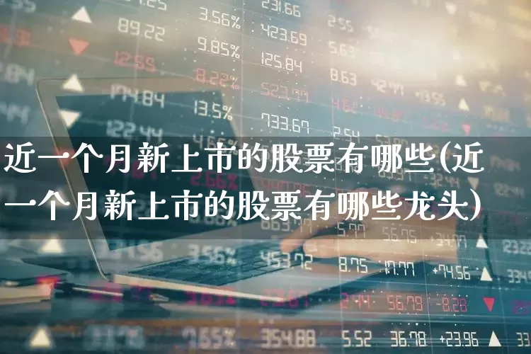 近一个月新上市的股票有哪些(近一个月新上市的股票有哪些龙头)_https://www.xzdzchf.com_深交所_第1张