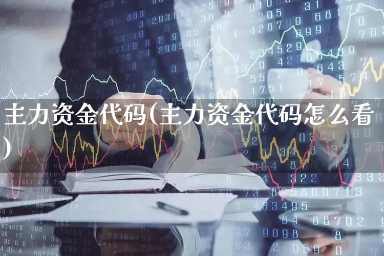 主力资金代码(主力资金代码怎么看)_https://www.xzdzchf.com_深交所_第1张