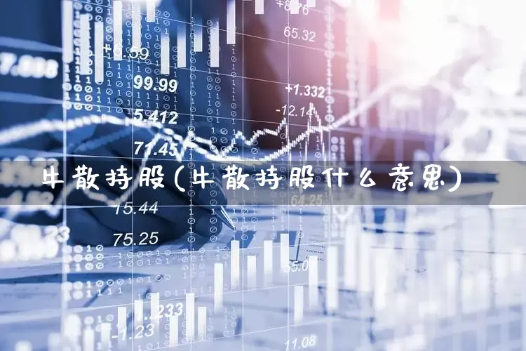 牛散持股(牛散持股什么意思)_https://www.xzdzchf.com_科创板_第1张