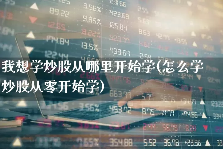 我想学炒股从哪里开始学(怎么学炒股从零开始学)_https://www.xzdzchf.com_北交所_第1张
