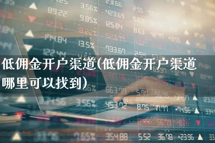 低佣金开户渠道(低佣金开户渠道哪里可以找到)_https://www.xzdzchf.com_科创板_第1张