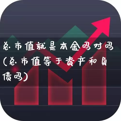 总市值就是本金吗对吗(总市值等于资产和负债吗)_https://www.xzdzchf.com_创业板_第1张
