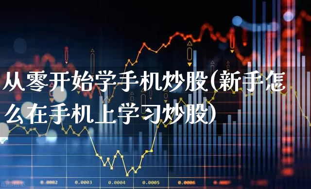 从零开始学手机炒股(新手怎么在手机上学习炒股)_https://www.xzdzchf.com_北交所_第1张