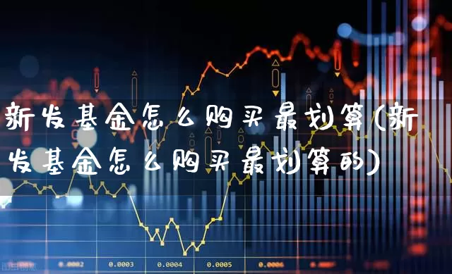 新发基金怎么购买最划算(新发基金怎么购买最划算的)_https://www.xzdzchf.com_创业板_第1张