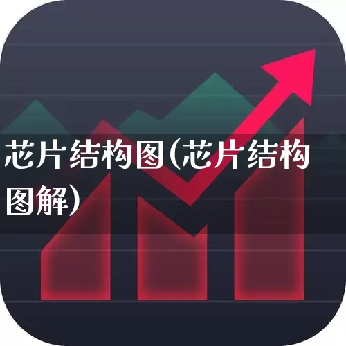 芯片结构图(芯片结构图解)_https://www.xzdzchf.com_北交所_第1张