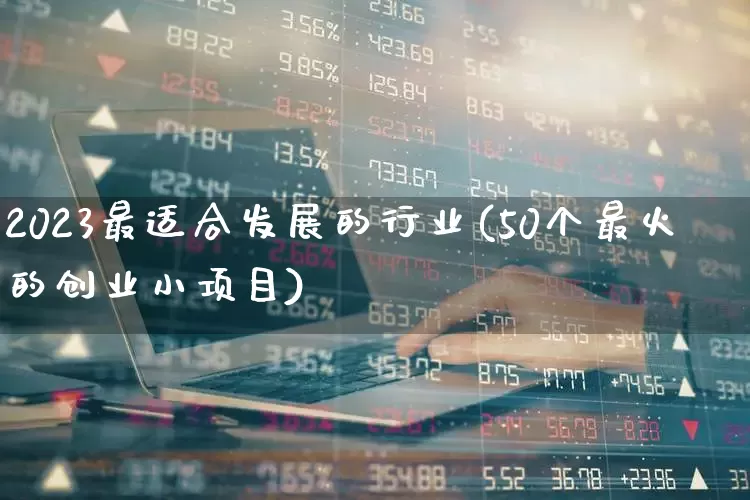 2023最适合发展的行业(50个最火的创业小项目)_https://www.xzdzchf.com_北交所_第1张