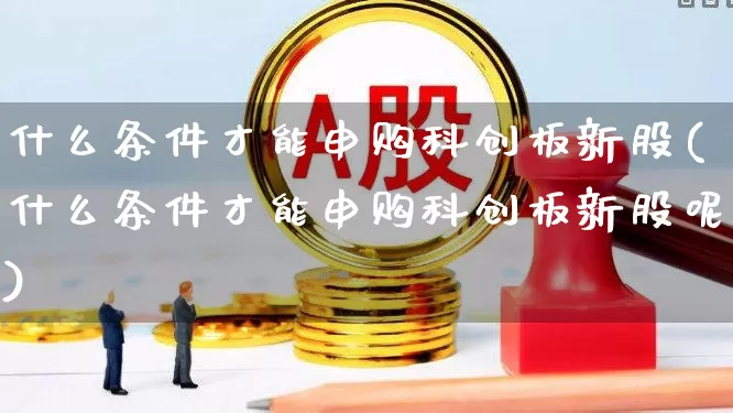 什么条件才能申购科创板新股(什么条件才能申购科创板新股呢)_https://www.xzdzchf.com_上交所_第1张