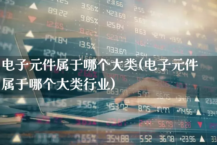 电子元件属于哪个大类(电子元件属于哪个大类行业)_https://www.xzdzchf.com_创业板_第1张