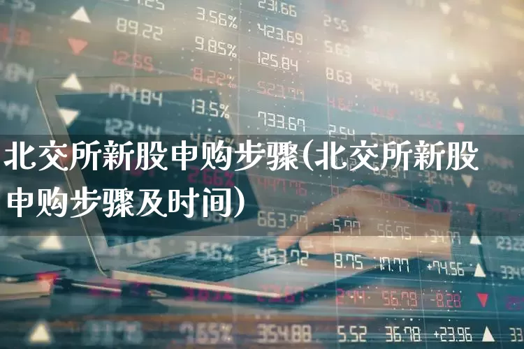 北交所新股申购步骤(北交所新股申购步骤及时间)_https://www.xzdzchf.com_深交所_第1张