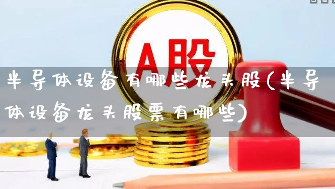 半导体设备有哪些龙头股(半导体设备龙头股票有哪些)_https://www.xzdzchf.com_科创板_第1张