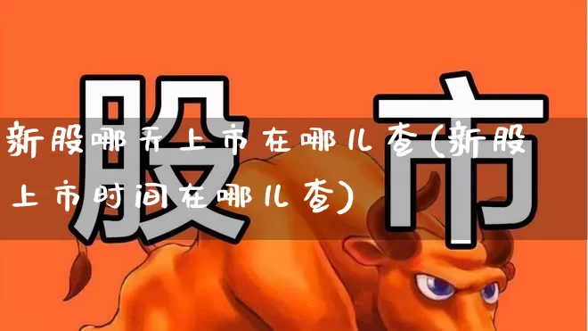 新股哪天上市在哪儿查(新股上市时间在哪儿查)_https://www.xzdzchf.com_北交所_第1张