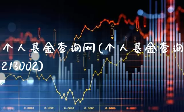 个人基金查询网(个人基金查询网213002)_https://www.xzdzchf.com_北交所_第1张