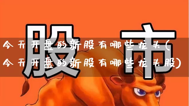 今天开盘的新股有哪些龙头(今天开盘的新股有哪些龙头股)_https://www.xzdzchf.com_深交所_第1张