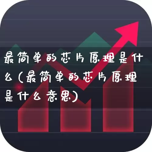 最简单的芯片原理是什么(最简单的芯片原理是什么意思)_https://www.xzdzchf.com_深交所_第1张