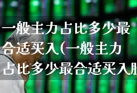 一般主力占比多少最合适买入(一般主力占比多少最合适买入股票)_https://www.xzdzchf.com_北交所_第1张