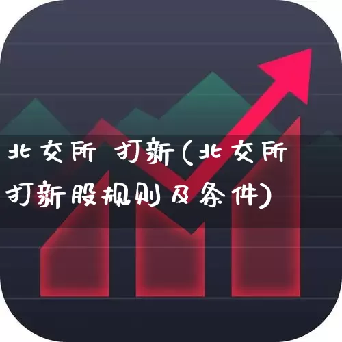北交所 打新(北交所打新股规则及条件)_https://www.xzdzchf.com_科创板_第1张