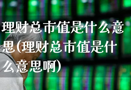 理财总市值是什么意思(理财总市值是什么意思啊)_https://www.xzdzchf.com_创业板_第1张
