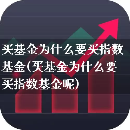 买基金为什么要买指数基金(买基金为什么要买指数基金呢)_https://www.xzdzchf.com_深交所_第1张