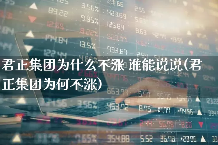 君正集团为什么不涨 谁能说说(君正集团为何不涨)_https://www.xzdzchf.com_创业板_第1张