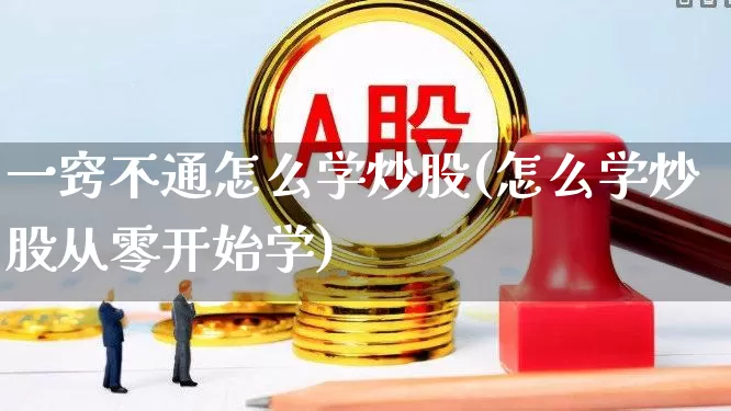 一窍不通怎么学炒股(怎么学炒股从零开始学)_https://www.xzdzchf.com_科创板_第1张