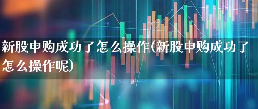 新股申购成功了怎么操作(新股申购成功了怎么操作呢)_https://www.xzdzchf.com_科创板_第1张