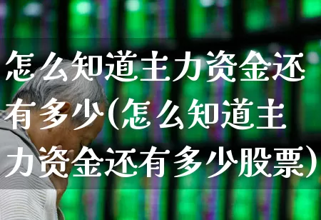 怎么知道主力资金还有多少(怎么知道主力资金还有多少股票)_https://www.xzdzchf.com_创业板_第1张
