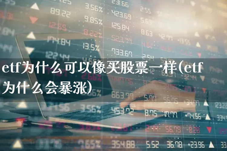 etf为什么可以像买股票一样(etf为什么会暴涨)_https://www.xzdzchf.com_上交所_第1张