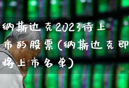 纳斯达克2023待上市的股票(纳斯达克即将上市名单)_https://www.xzdzchf.com_科创板_第1张