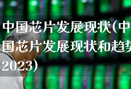 中国芯片发展现状(中国芯片发展现状和趋势2023)_https://www.xzdzchf.com_深交所_第1张