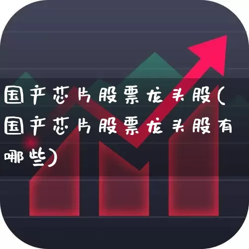 国产芯片股票龙头股(国产芯片股票龙头股有哪些)_https://www.xzdzchf.com_科创板_第1张