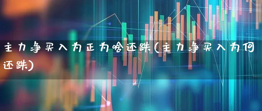 主力净买入为正为啥还跌(主力净买入为何还跌)_https://www.xzdzchf.com_科创板_第1张