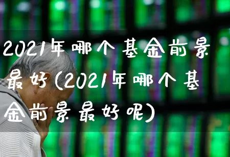 2021年哪个基金前景最好(2021年哪个基金前景最好呢)_https://www.xzdzchf.com_科创板_第1张