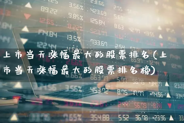 上市当天涨幅最大的股票排名(上市当天涨幅最大的股票排名榜)_https://www.xzdzchf.com_科创板_第1张
