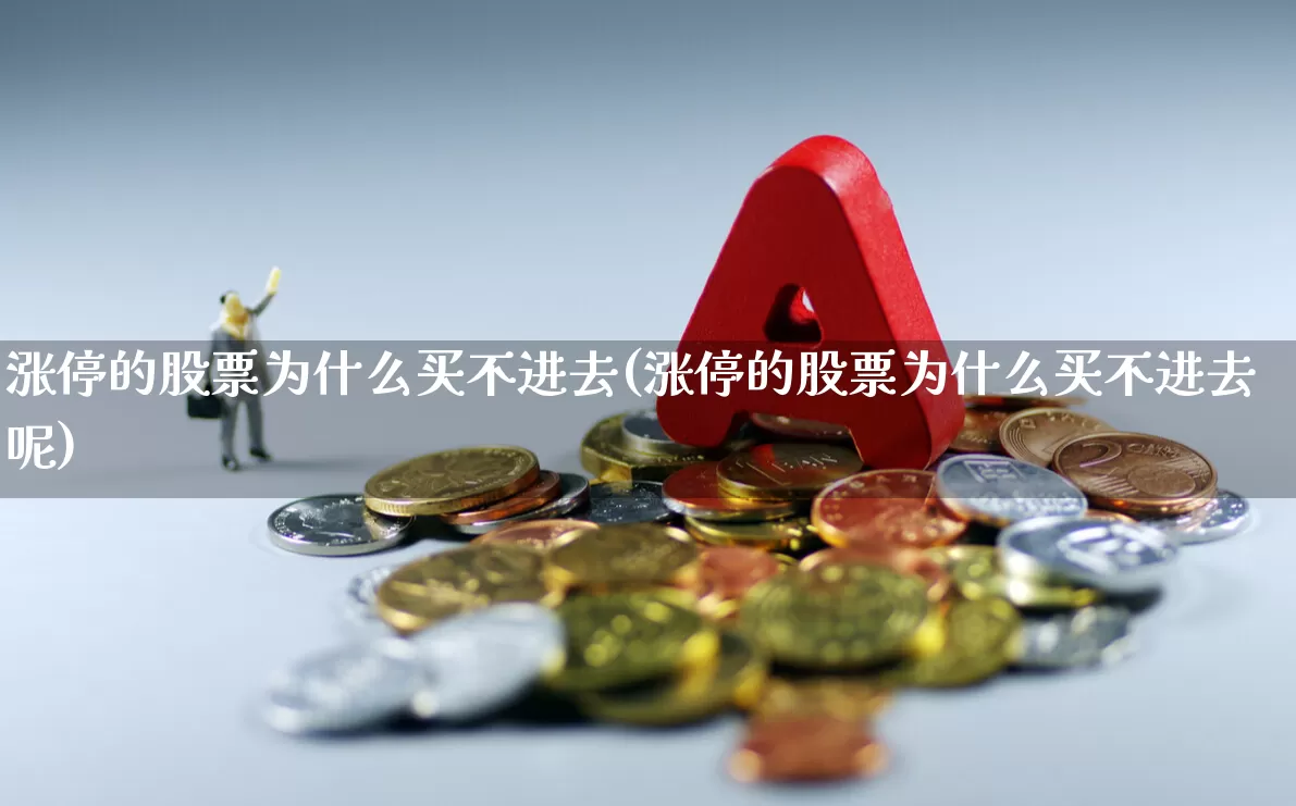 涨停的股票为什么买不进去(涨停的股票为什么买不进去呢)_https://www.xzdzchf.com_创业板_第1张
