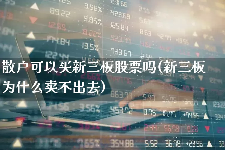 散户可以买新三板股票吗(新三板为什么卖不出去)_https://www.xzdzchf.com_上交所_第1张